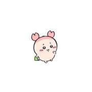 ヒメ日記 2025/08/16 09:55 投稿 さえ 素人系イメージSOAP 彼女感 宇都宮本館