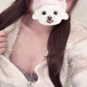 ヒメ日記 2025/12/21 01:47 投稿 さえ 素人系イメージSOAP 彼女感 宇都宮本館