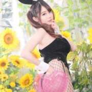 ヒメ日記 2024/08/14 08:14 投稿 きょうこ TOKYO BUNNYS CLUB