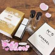 ヒメ日記 2025/02/02 23:28 投稿 さな ときめき青春ロリ学園～東京乙女組 池袋校