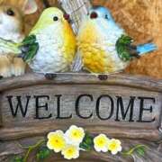 ヒメ日記 2026/02/18 12:11 投稿 アップルパイ お取り寄せスイーツ 女の子市場