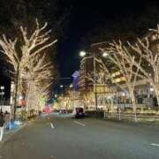 ヒメ日記 2024/12/18 08:50 投稿 樹里 石亭