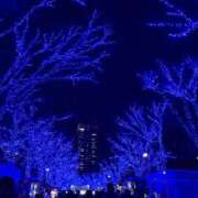 ヒメ日記 2024/12/24 23:41 投稿 樹里 石亭