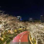 ヒメ日記 2024/12/27 08:56 投稿 樹里 石亭