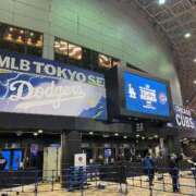 ヒメ日記 2025/03/15 21:05 投稿 樹里 石亭