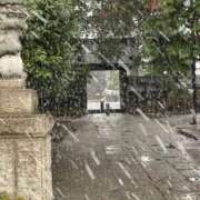 ヒメ日記 2025/03/19 12:47 投稿 樹里 石亭