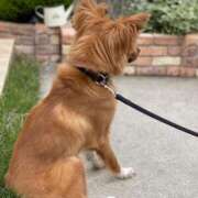 ヒメ日記 2025/05/21 08:31 投稿 樹里 石亭