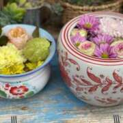 ヒメ日記 2025/06/20 16:23 投稿 樹里 石亭