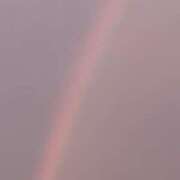 ヒメ日記 2025/06/27 09:48 投稿 樹里 石亭