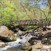 ヒメ日記 2025/07/11 15:45 投稿 樹里 石亭