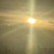 ヒメ日記 2025/07/31 23:17 投稿 樹里 石亭