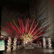 ヒメ日記 2025/08/07 12:23 投稿 樹里 石亭