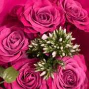 ヒメ日記 2025/09/17 19:00 投稿 樹里 石亭