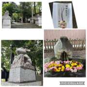 ヒメ日記 2026/09/17 12:19 投稿 樹里 石亭