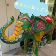 ヒメ日記 2025/04/01 20:33 投稿 吉高 なみえ 神戸RED DRAGON