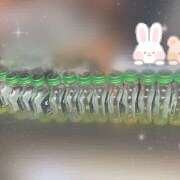 ヒメ日記 2025/08/09 22:17 投稿 りり ピーチパイ