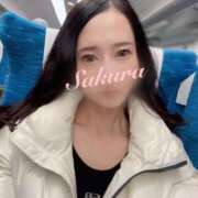 ヒメ日記 2025/01/25 11:20 投稿 さくら FORTE