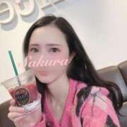 ヒメ日記 2025/02/06 13:25 投稿 さくら FORTE