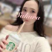 ヒメ日記 2025/03/12 16:49 投稿 さくら FORTE