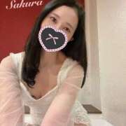 ヒメ日記 2025/03/23 15:29 投稿 さくら FORTE