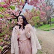 ヒメ日記 2025/04/02 20:39 投稿 さくら FORTE