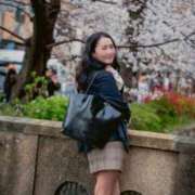 ヒメ日記 2025/04/03 15:29 投稿 さくら FORTE