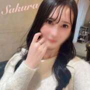 ヒメ日記 2025/11/19 18:49 投稿 さくら FORTE