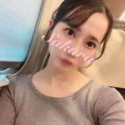 ヒメ日記 2025/11/22 10:29 投稿 さくら FORTE