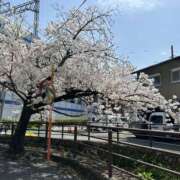 ゆう 満開 MASK（マスク）