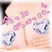 ヒメ日記 2025/05/17 12:03 投稿 秋山(あきやま) 八王子人妻城