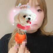 ヒメ日記 2025/04/16 03:23 投稿 高岡さり Mrs. Dandy Shibuya