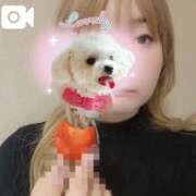 ヒメ日記 2025/01/31 19:31 投稿 高岡さり Mrs. Dandy Shinjuku