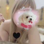 ヒメ日記 2025/09/13 13:55 投稿 高岡さり Mrs. Dandy Yokohama