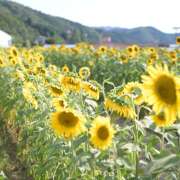 ヒメ日記 2025/08/01 20:10 投稿 あおい ピーチパイ