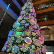 ヒメ日記 2024/12/22 21:40 投稿 ようこ 奥鉄オクテツ神奈川店（デリヘル市場グループ）