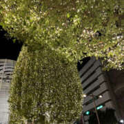 ヒメ日記 2024/12/22 21:50 投稿 ようこ 奥鉄オクテツ神奈川店（デリヘル市場グループ）