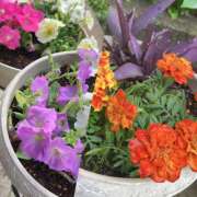 ヒメ日記 2025/04/25 11:50 投稿 ようこ 奥鉄オクテツ神奈川店（デリヘル市場グループ）