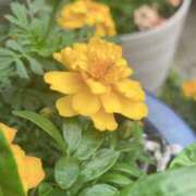 ヒメ日記 2025/05/23 07:05 投稿 ようこ 奥鉄オクテツ神奈川店（デリヘル市場グループ）