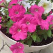 ヒメ日記 2025/05/23 07:10 投稿 ようこ 奥鉄オクテツ神奈川店（デリヘル市場グループ）