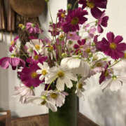 ヒメ日記 2025/10/26 21:50 投稿 ようこ 奥鉄オクテツ神奈川店（デリヘル市場グループ）