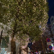 ヒメ日記 2025/11/15 20:55 投稿 ようこ 奥鉄オクテツ神奈川店（デリヘル市場グループ）