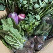 ヒメ日記 2025/12/12 10:00 投稿 ようこ 奥鉄オクテツ神奈川店（デリヘル市場グループ）