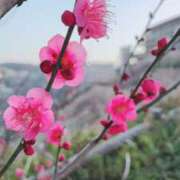 ヒメ日記 2026/01/21 19:55 投稿 ようこ 奥鉄オクテツ神奈川店（デリヘル市場グループ）