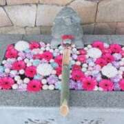 ヒメ日記 2026/03/19 11:25 投稿 ようこ 奥鉄オクテツ神奈川店（デリヘル市場グループ）