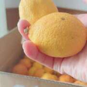 ヒメ日記 2026/03/21 06:50 投稿 ようこ 奥鉄オクテツ神奈川店（デリヘル市場グループ）