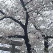 ヒメ日記 2026/04/01 08:10 投稿 ようこ 奥鉄オクテツ神奈川店（デリヘル市場グループ）