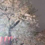 ヒメ日記 2026/04/04 22:50 投稿 ようこ 奥鉄オクテツ神奈川店（デリヘル市場グループ）