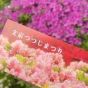 ヒメ日記 2026/04/23 16:05 投稿 ようこ 奥鉄オクテツ神奈川店（デリヘル市場グループ）