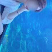 ヒメ日記 2026/06/24 06:05 投稿 ようこ 奥鉄オクテツ神奈川店（デリヘル市場グループ）