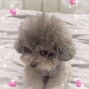 ヒメ日記 2024/12/08 07:54 投稿 うの LOVE KISS（ラブキッス）